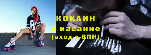 сатива Липки