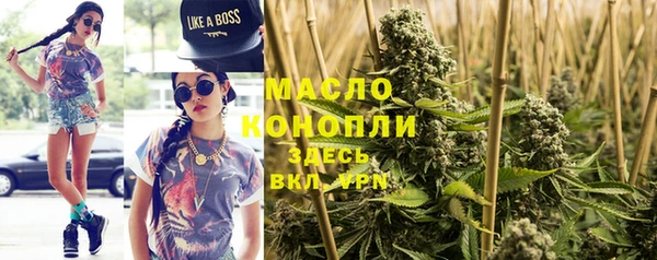 сатива Липки
