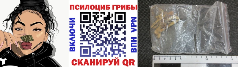 Галлюциногенные грибы мухоморы  Александровское 